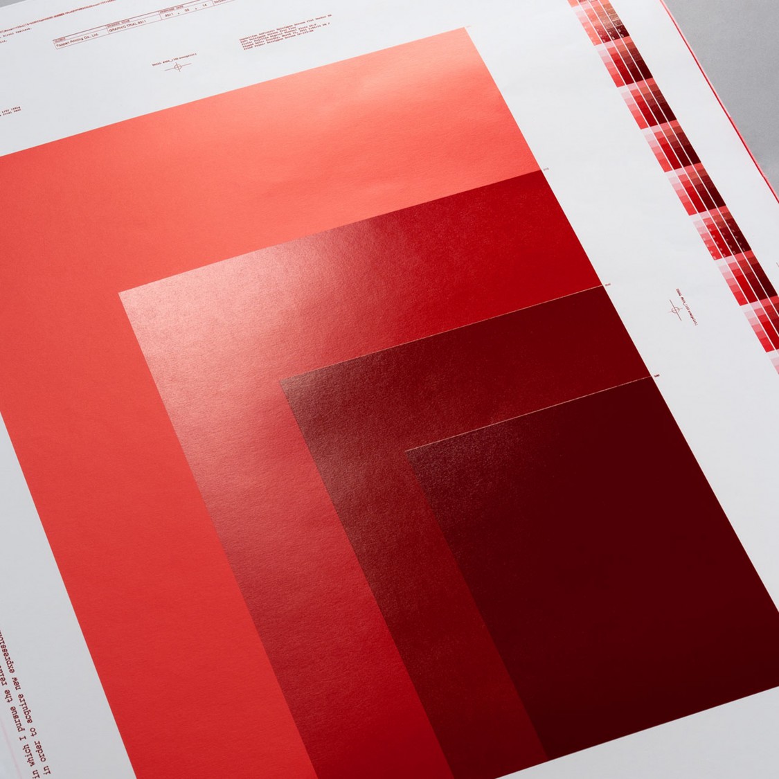 GRAPHIC TRIAL 2011
